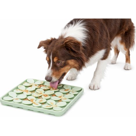 Gamelle Chat – gamelle pour Chien - Tapis de lechage Chien - carré - Vert Clair - 20x20x1,5 cm - Silicone - avec ventouses - Nourriture Humide et Snacks (1/5)