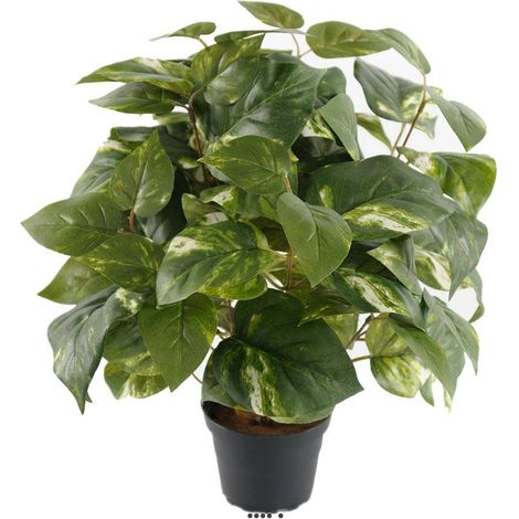 Pothos artificiel en pot H 40 cm, D 34 cm (1/3)