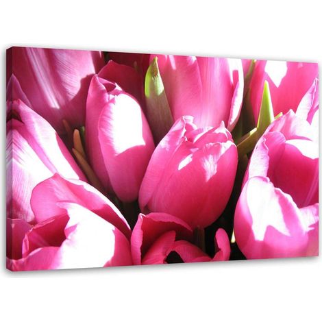 Tableau sur toile Tulipes Fleur rose 60x40 (1/5)