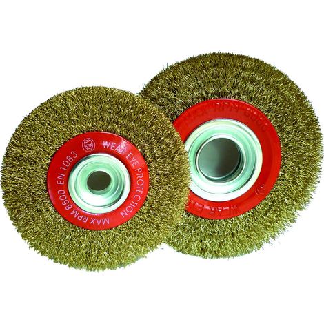 SPAZZOLA CIRCOLARE MM.200X25 FORO 20 PZ 1,0