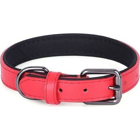 Weiches, gepolstertes und atmungsaktives Hundehalsband aus Leder, 2,0 x 40 cm (1/3)