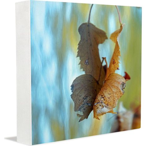 Cadeaux photo, cadeaux de bureau pour futures mamans, panneaux et plaques décoratifs, décoration intérieure, cadeaux à faire soi-même (1/5)