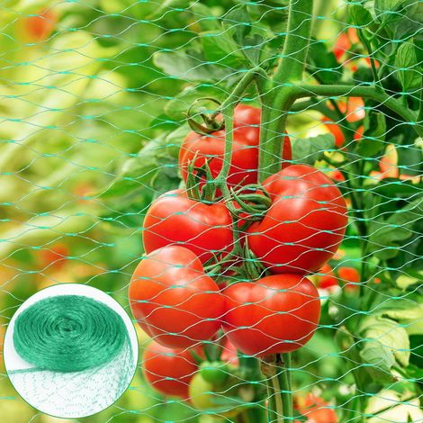 Rete per uccelli, 4 x 10 m, maglia fine, per la protezione di uccelli (stagno, giardino, voliera, alberi da frutto, aironi, piccioni, piante).