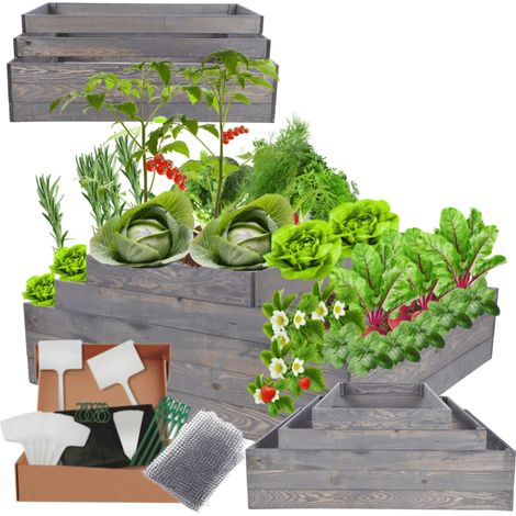 MODO24 ZP09 Carré potager surélevé en escalier modulable, bois de pin, herbes/légumes, jardin/terrasse/balcon, 45x117x120 cm, gris
