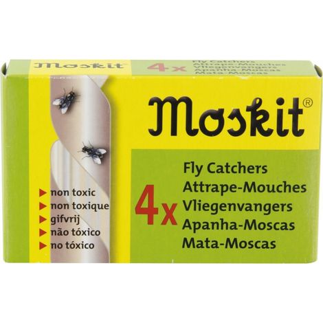 Masy Fliegenfänger 4 - Masy