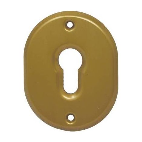 5,0 x MOSTRINA PORTA BLINDATA 316L CIPIERRE