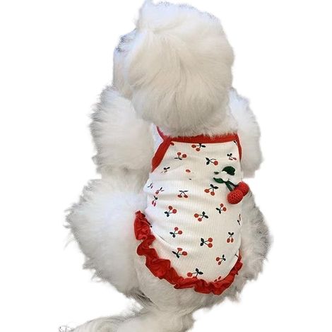 Vêtements pour chienne Doux Mignon Respirant Gilet Tenue pour Chien pour Fête Anniversaire Maison Jardin Promenade Parc Extérieur (1/5)