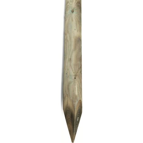 Palo 5x250 cm con punta in legno impregnato in autoclave