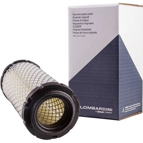 FILTRE A AIR ORIGINE - MOTEUR LOMBARDINI PROGRESS DCI 442 DCI 492 HDI 480 MPI 523, YANMAR 2TNE68 (1/3)