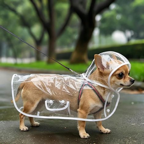 Imperméable Chien White Veste de Pluie Capuche Transparente Dog Raincoat Chiens 2,5-3,5kg Coupe-Vent Impermeable (1/4)