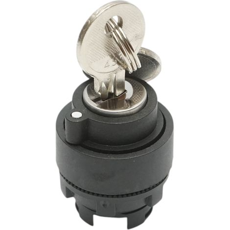 Testa manopola selettore a 2 posizioni con ritenuta chiave Ø 22mm LAY5 Breckner Germany (1/5)