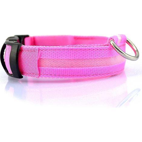 Das neue LED-Haustierhalsband (1 Stück)