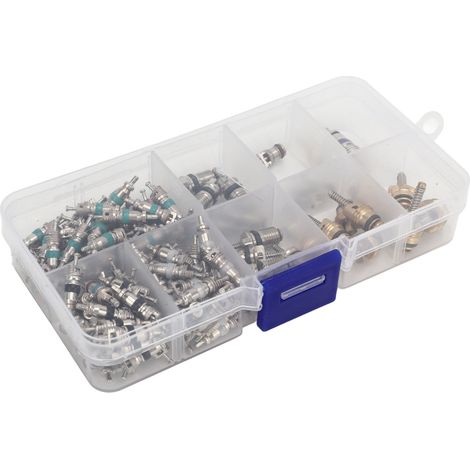 134 pièces noyau de valve de climatisation compact précis tige de valve de pneu pour voitures camions motos VTT (1/5)