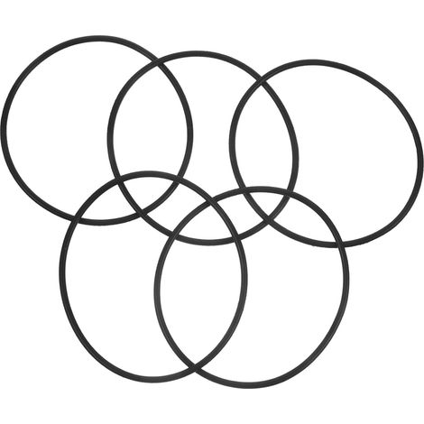 de 5 joints toriques en caoutchouc nitrile résistant à l (1/5)