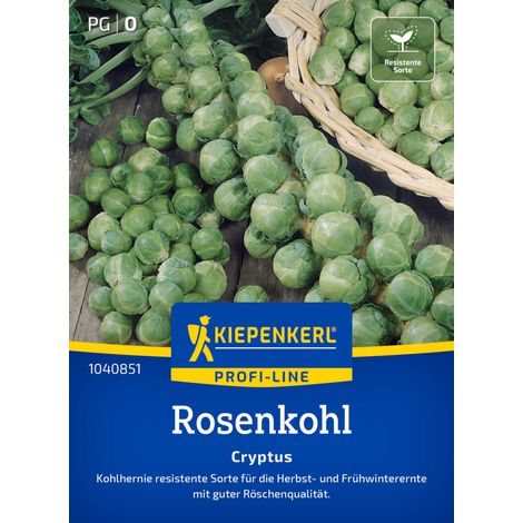 Kiepenkerl Profi-Line Saatgut Rosenkohl Cryptus F1 für ca. 10 Pflanzen (1/2)