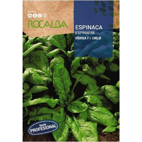 Rokalba Espinaca Emilia F-1 10G