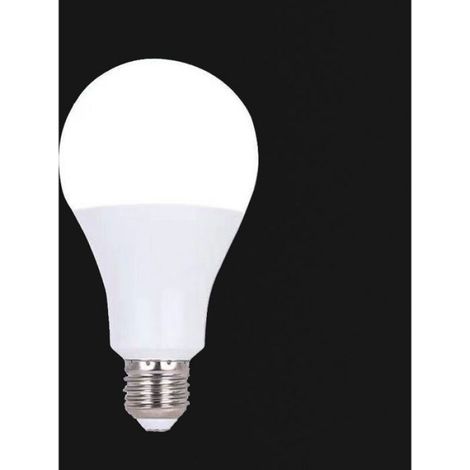 Ampoule LED E27 à vis 220V-240V 20W (lumière blanche 6500K) non dimmable 1 pack (1/3)