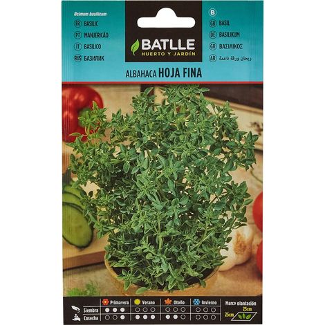 Graines aromatiques de Batlle - Basilic feuille fine (3g) (1/5)