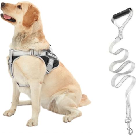 1 harnais anti-traction pour chien, réglable et réfléchissant, avec poignée et laisse intégrée, pour marche et course (1/5)