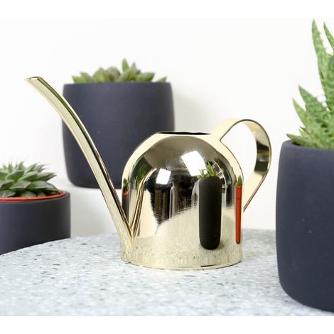 Arrosoir en acier inoxydable 500 ml à long bec, idéal pour les plantes d'intérieur et d'extérieur (doré). (1/5)