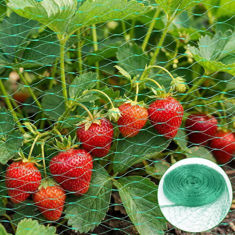 Bird Net, 4x12M, Green PE, Protection for Plants, Fruit Trees, Vegetable Gardens (1/5)