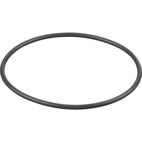 Rems O-Ring 060174