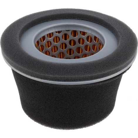 Filtro aria HIFI-FILTER SA12162
