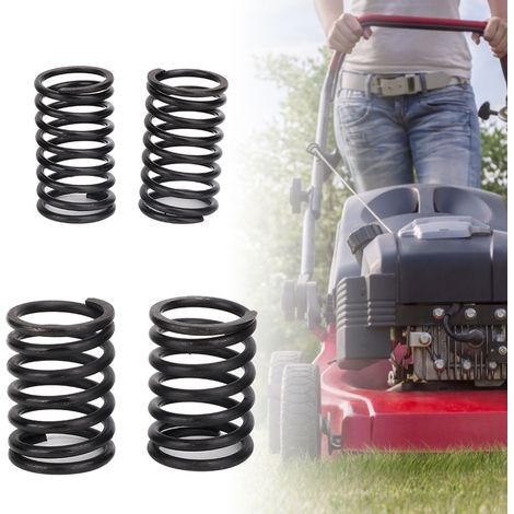 3 jeux de ressorts de soupape pour moteur diesel S195 (1/5)