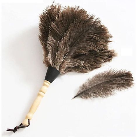Plumeau, plumeau à manche en bois, plumeau en plumes d'autruche véritable de haute qualité.