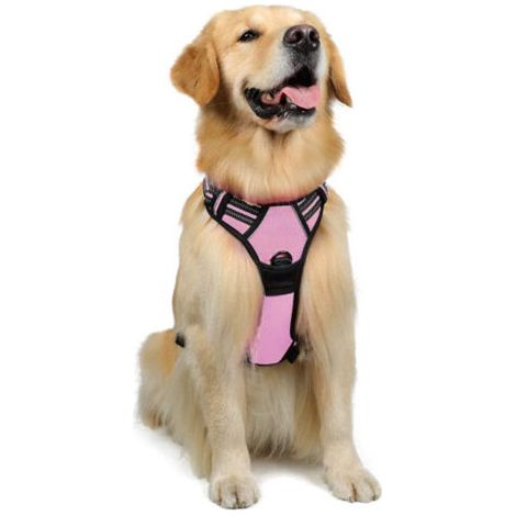 Harnais Chien Anti Traction,Harnais Réfléchissant Réglable avec Attache Devant Harnais pour Chien Moyen,Taille M