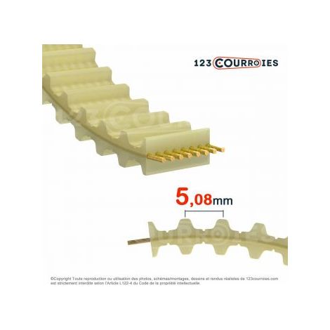 Courroie double dentée polyuréthane 220DXL025-PU