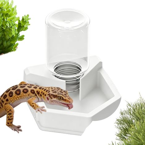 Fuente de agua para reptiles Regadera automática invertida (1/5)
