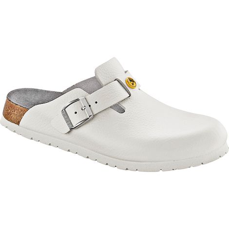 Sabot ESD Boston