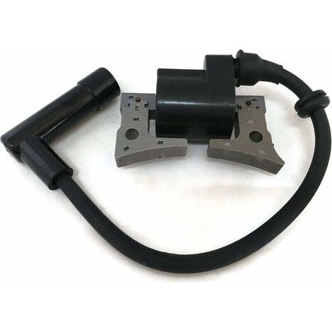 Bobine d'allumage pour moteur de tondeuse à gazon Robin EX13 EX17 EX21 277-79431-01 (1/4)