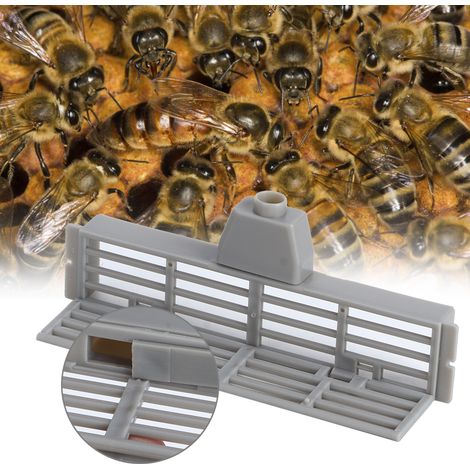 10 Stück Kunststoff-Bienenausbruchsicherung, Fliegenabweiser, Lochabstandshalter, Zubehör für die Imkerei (1/5)