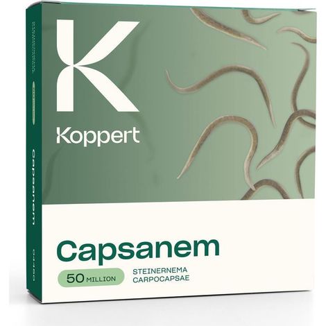 Capsanem Koppert - 50 milioni - Steinernema carpocapsae