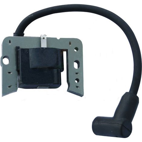 Tecumseh 34443A 34443B 34443C Zündhochspannungstransformator Zündspule Verteiler
