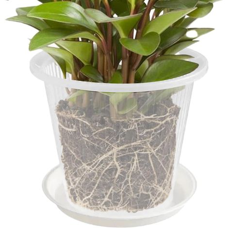 für Pflanzen Transparenter Orchideenbehälter dekorativer