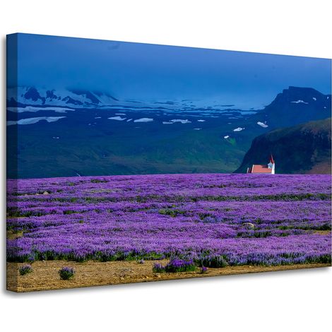 Lienzo impreso Naturaleza Campo de lavanda 90x60 cm Flores moradas Puesta de sol