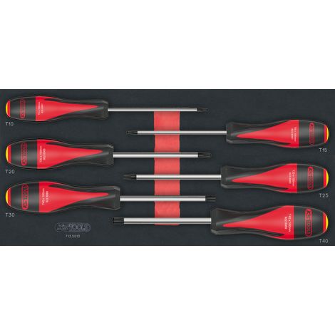 Module - KS TOOLS - 713.5013 - Module de tournevis Ultimate Torx - 6 pieces - Pour servantes et établis
