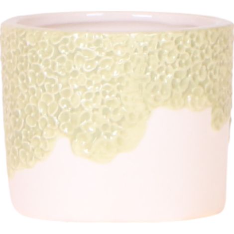 Cache-pot Décoratif avec Relief Floral Brillant Vert Ø 6 cm - PANGIVO (1/4)