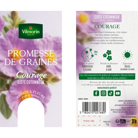 Vilmorin Ciste Cotonneux - Courage (1/4)