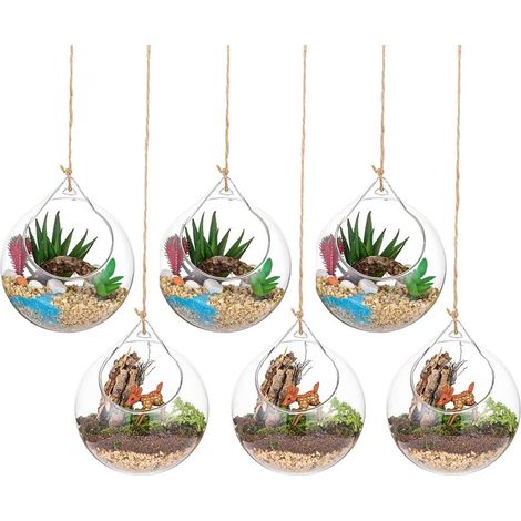 Terrarium en Verre Suspendu 6 Pièces Grande Ouverture Vase Plante Boules 10cm Fleur Vase Pot Boules De Verre la Conception de Bricolage de Jardin de Mariage à la Maison (1/5)