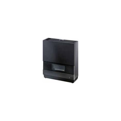 Olimpia Splendid SG 60 HE Industrial fanless heater