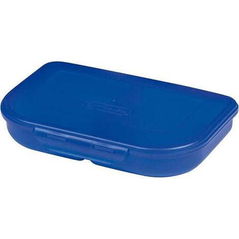Boîte à lunch bleue