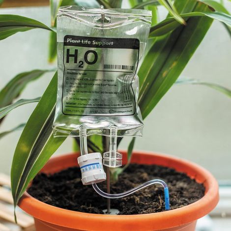 Dispositif d'irrigation goutte à goutte pour plantes d'intérieur Système d'arrosage automatique (1/5)