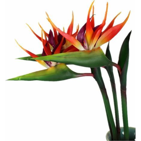 Lot de 3 grands oiseaux de paradis - 81.3 cm - Fleurs permanentes résistantes aux UV - Ne se décolorent pas - Fabriquées en caoutchouc souple - Plantes artificis pour la maison, le bureau (1/4)