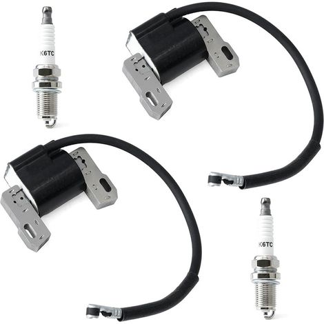 Bobine d'allumage MIA12788 et bougie LG691060 (1/5)