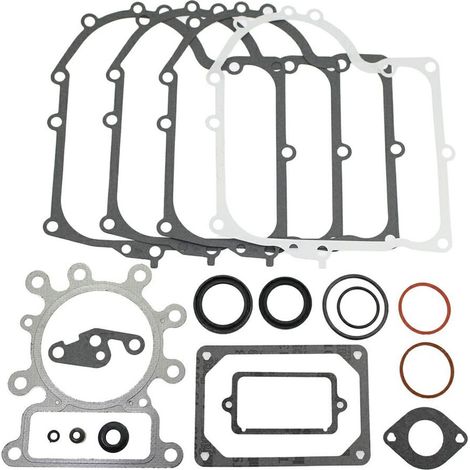 Serie guarnizioni OHV monocilindrico verticale vecchia serie -320331