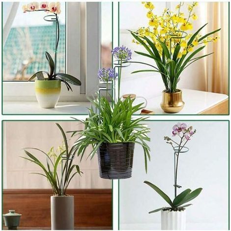 Juego de 6 soportes de hierro para plantas, estructura elevada para jardín, soporte para plantas trepadoras en maceta, herramientas de jardinería esenciales para uso interior y exterior (25 cm) (1/3)